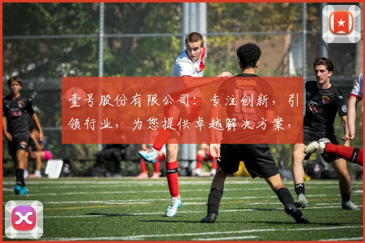 壹号股份有限公司：专注创新，引领行业，为您提供卓越解决方案，成就卓越企业
