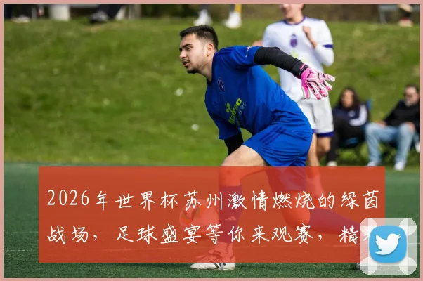 2026年世界杯苏州激情燃烧的绿茵战场，足球盛宴等你来观赛，精彩不容错过